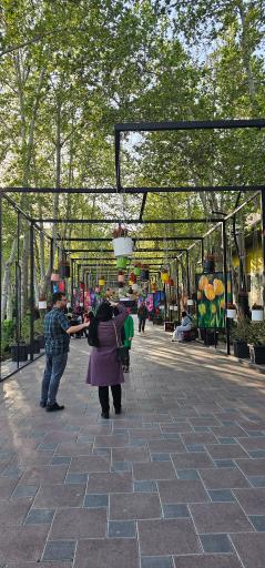 عکس بوستان چمران