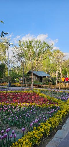 عکس بوستان چمران