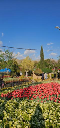 عکس بوستان چمران