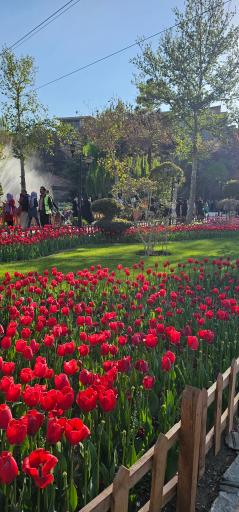 عکس بوستان چمران