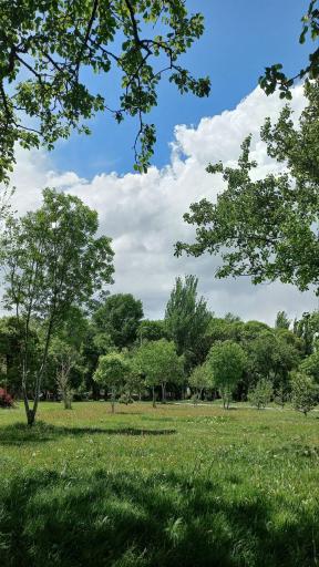 عکس باغ بزرگ جیرال