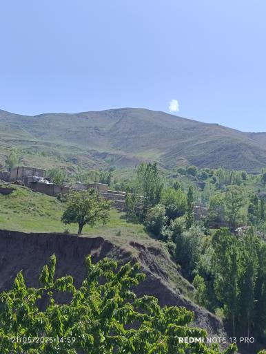 عکس آلمالو