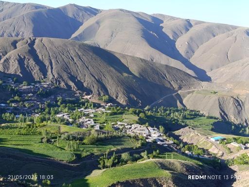 عکس آلمالو