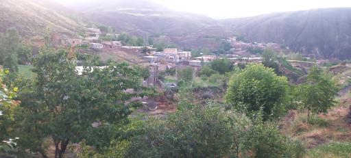 عکس آلمالو