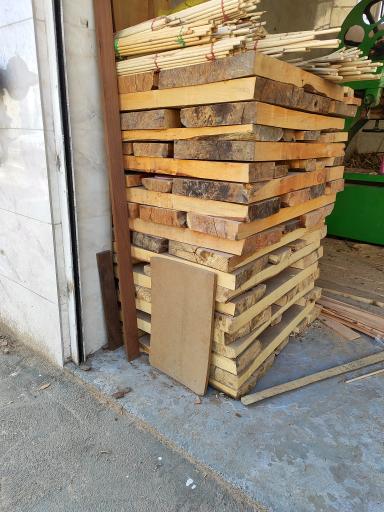 عکس چوب شاهین