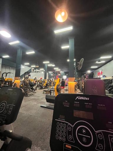 عکس باشگاه بدنسازی علیچی