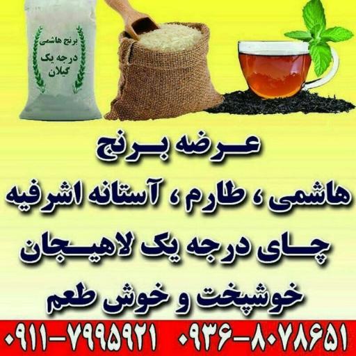 عکس برنج پنج ستاره گیلان 