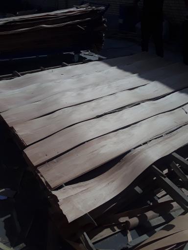 عکس چوب شاهین