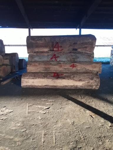 عکس چوب شاهین