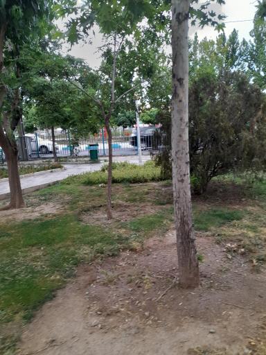 عکس بوستان صائب تبریزی