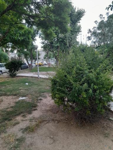 عکس بوستان صائب تبریزی