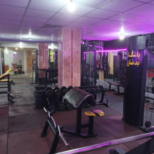 عکس باشگاه بدنسازی و رزمی هرمان بوجارزاده