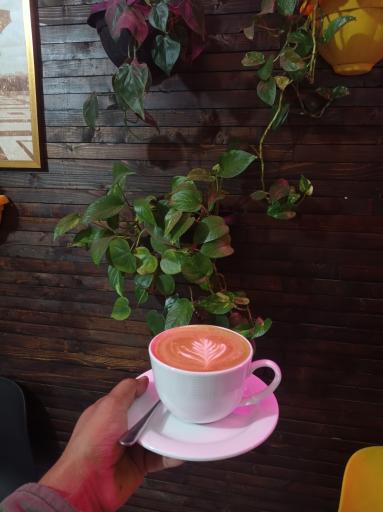 عکس پیتزا کافی شاپ دالیا