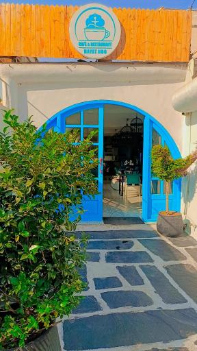 عکس حیات نو