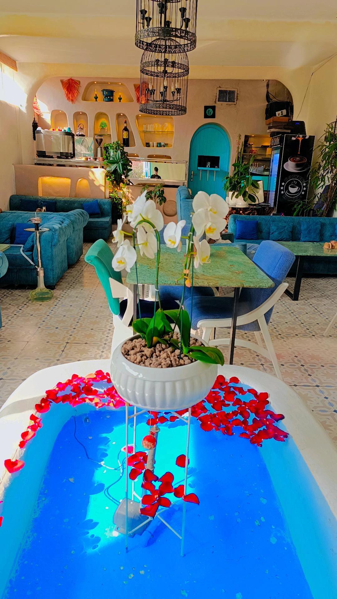 عکس حیات نو