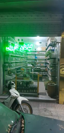 عکس عطاری نیشابوری گرین