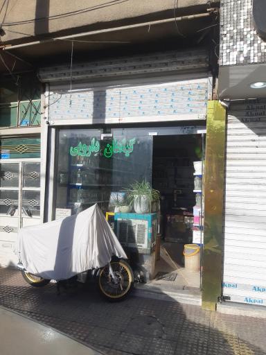 عکس عطاری نیشابوری گرین