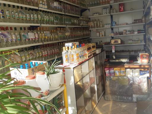 عکس عطاری نیشابوری گرین