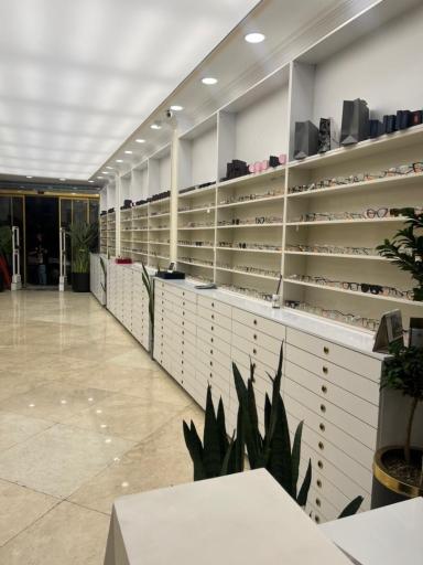 عکس عینک فرزانه کجوئی