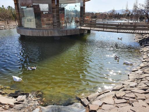 عکس مجموعه تفریحی اورس