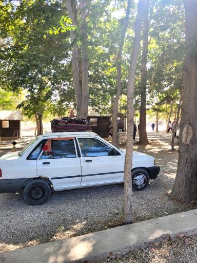 عکس تفریحی توریستی چشمه علی