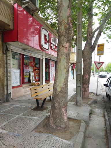 عکس  انتهای قائم