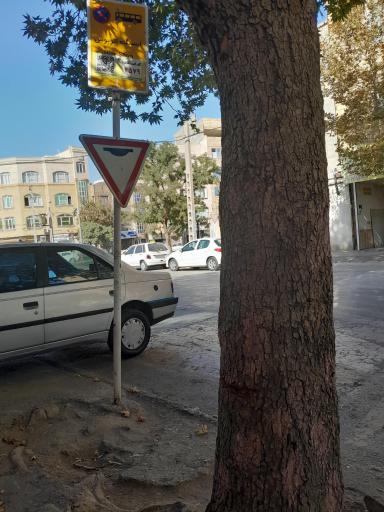 عکس  انتهای قائم