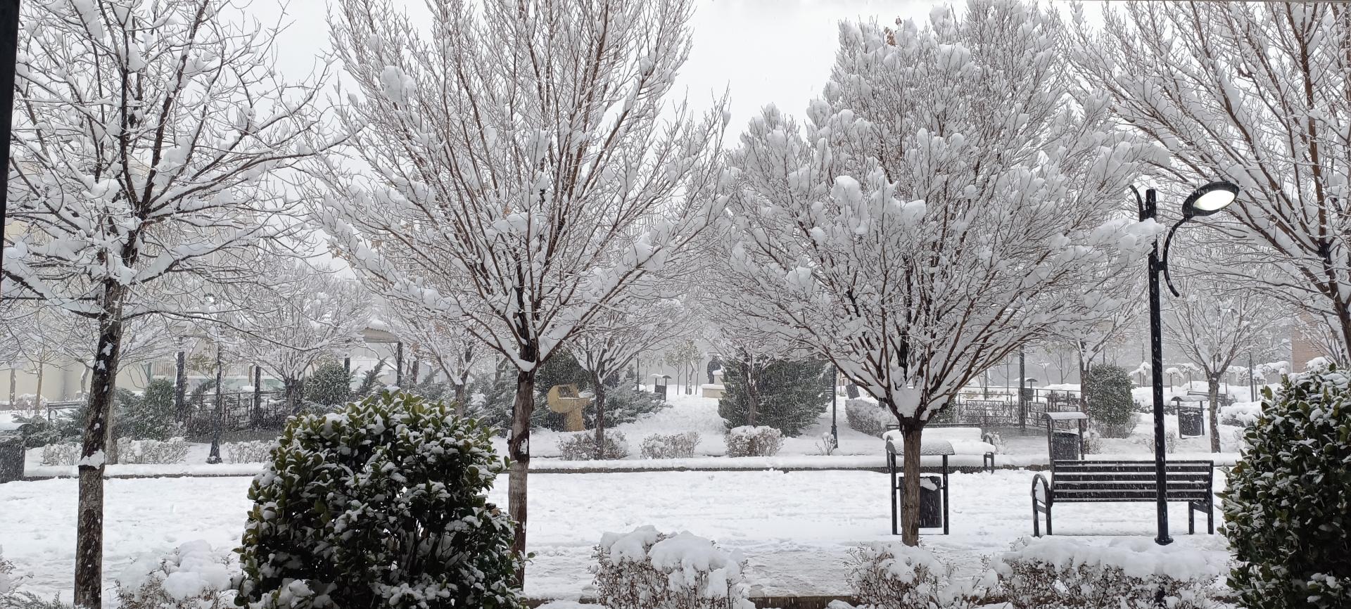 عکس بوستان نرگس