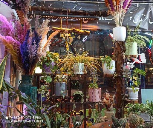 عکس کافه تریا تک