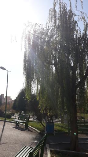 عکس بوستان امام رضا