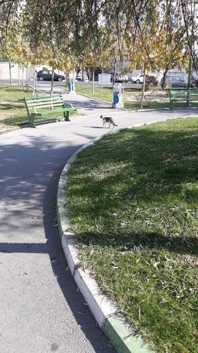 عکس بوستان امام رضا