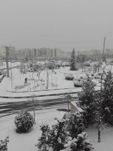 عکس بوستان امام رضا