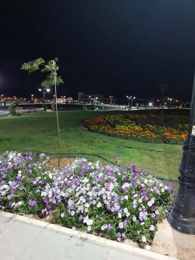 عکس بوستان سوگند