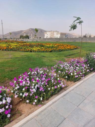 عکس بوستان سوگند