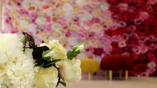 عکس استودیو امیر عنصری