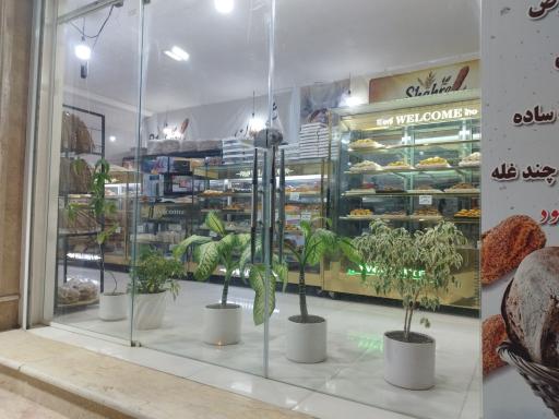 نان فانتزی شهر نان 