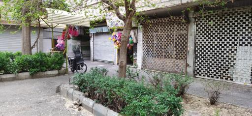 عکس خرازی گلپوشان