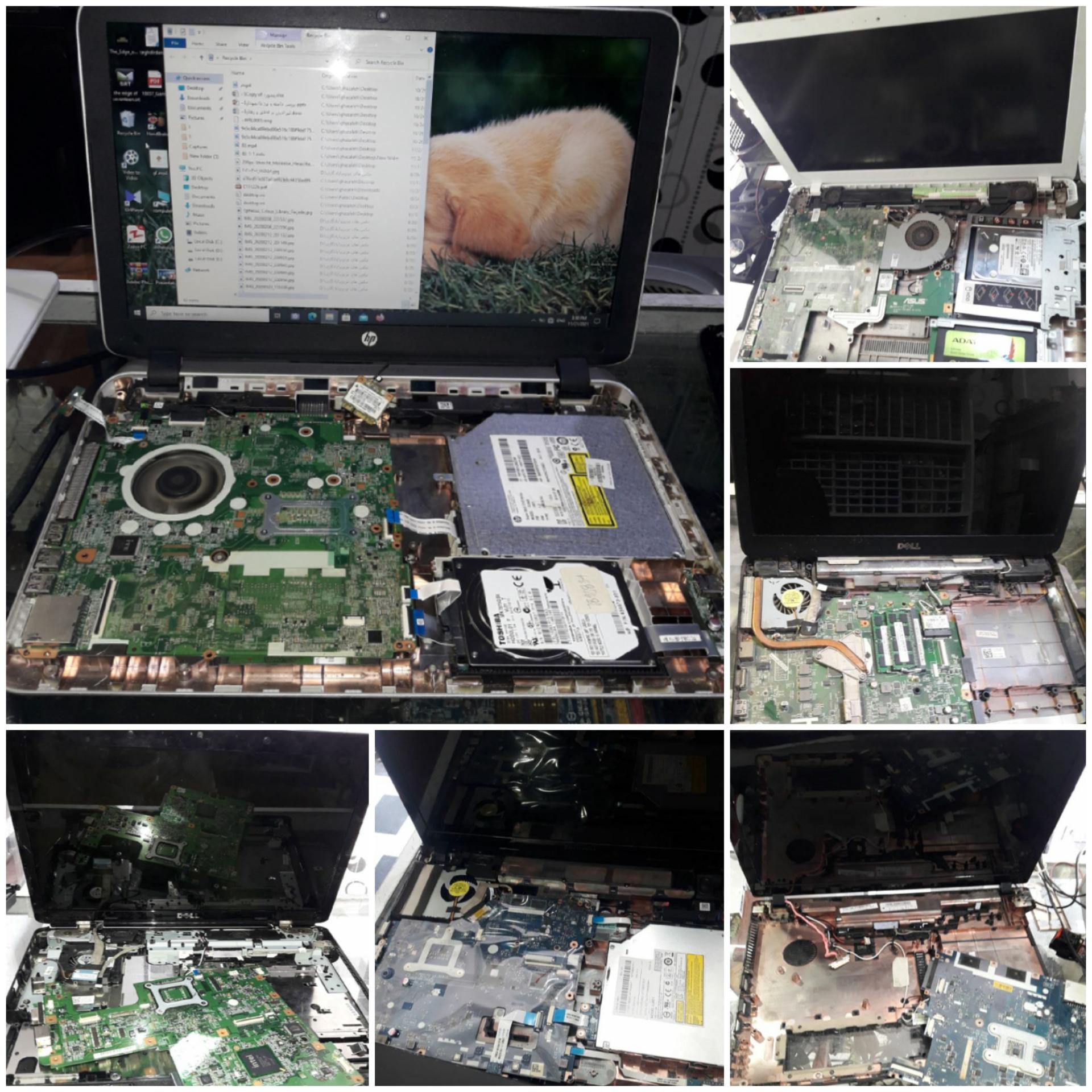 عکس جهان رایان