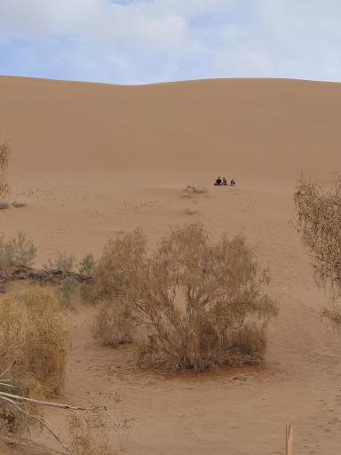 عکس آفرود و سافاری کویر مرنجاب