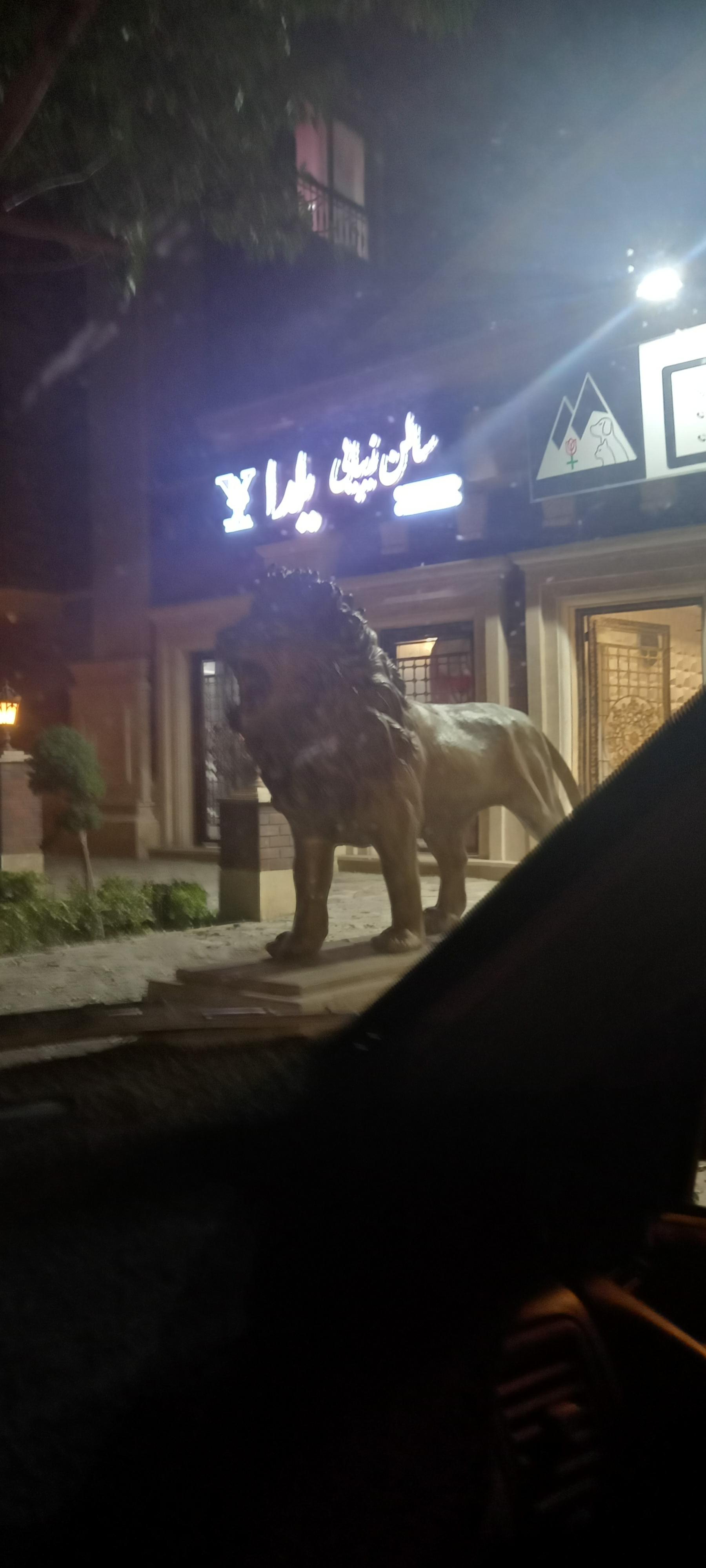 عکس سالن زیبایی  یلدا