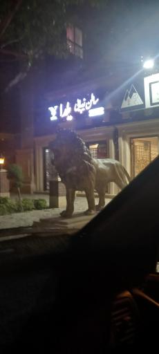 عکس سالن زیبایی  یلدا