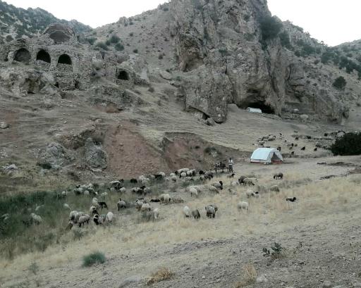 عکس چم بور فرخینوند