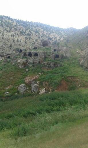 عکس چم بور فرخینوند