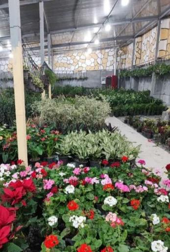 عکس گلخانه چهارده معصوم 