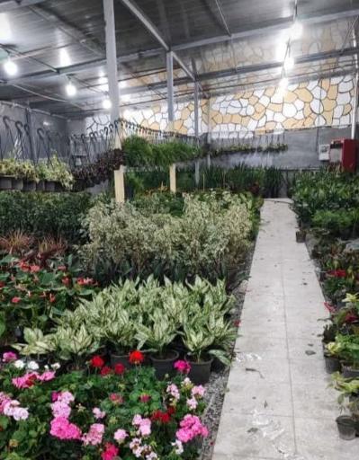 عکس گلخانه چهارده معصوم 