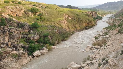 عکس چم بور فرخینوند