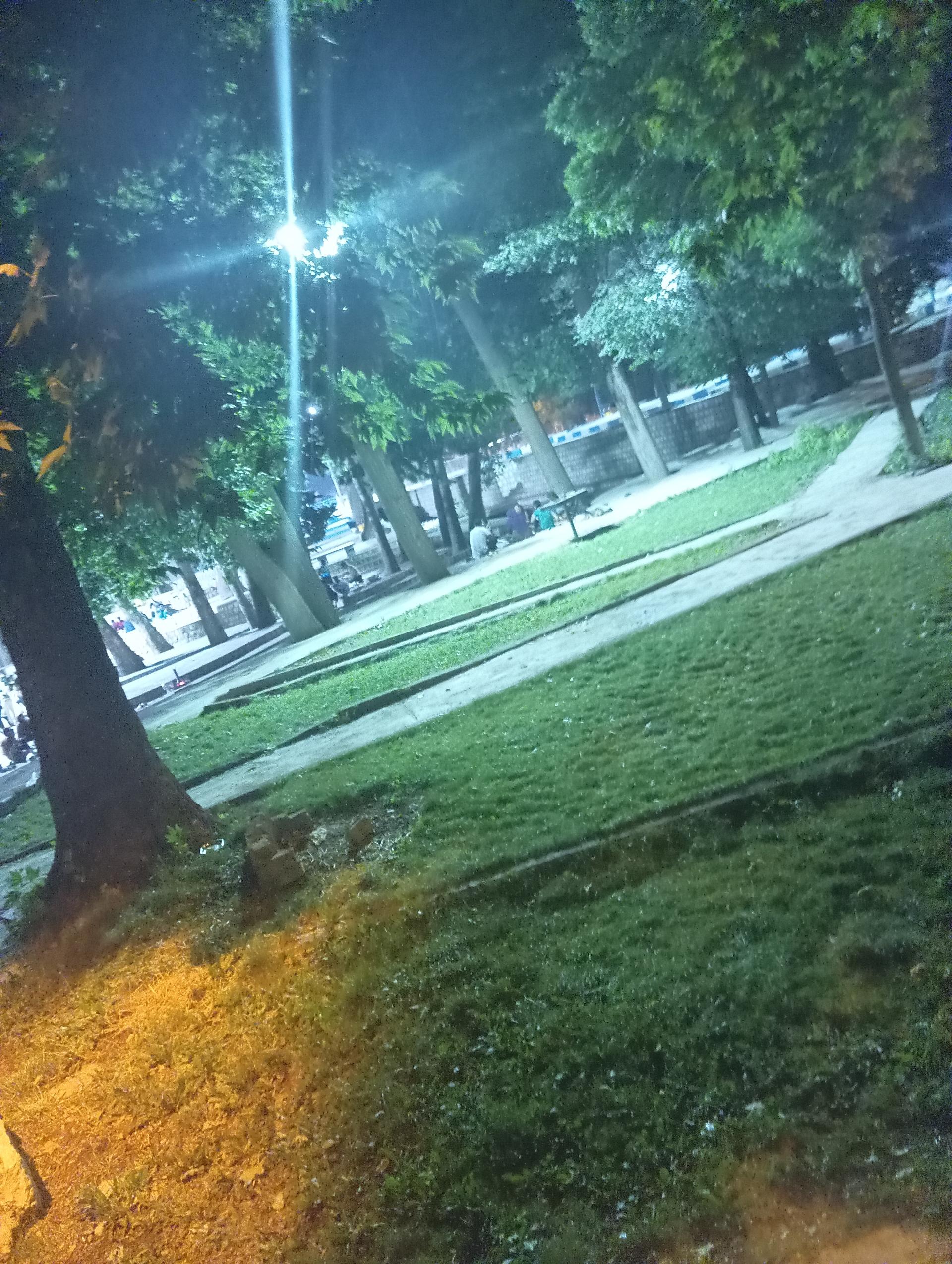 عکس پارک لردگان