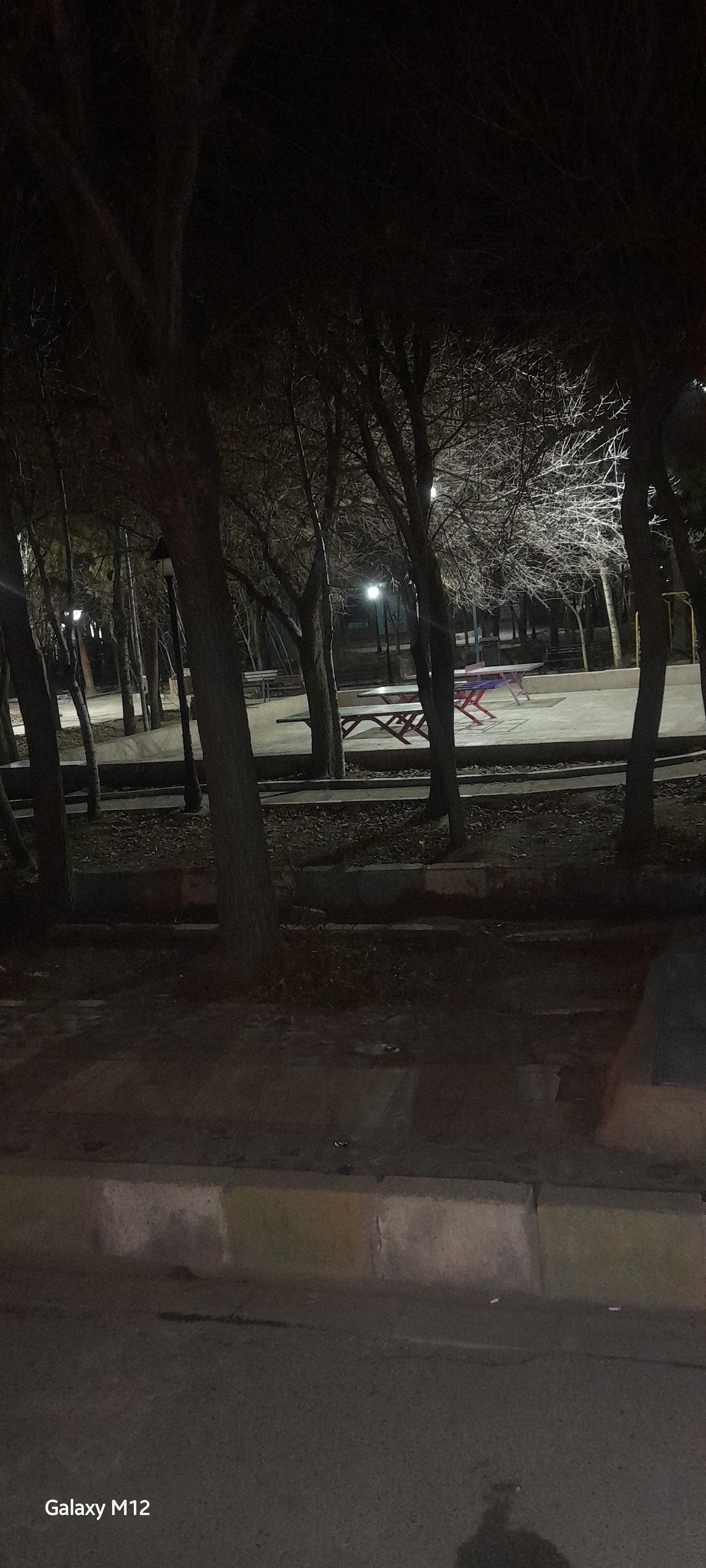 عکس بوستان چمران