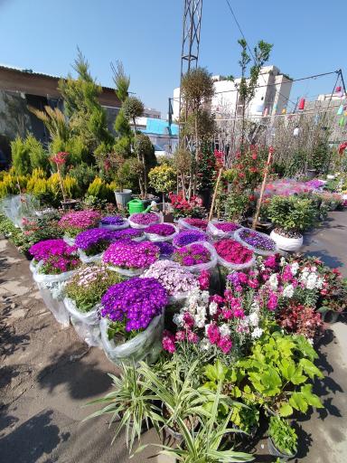 عکس نمایشگاه بهاره