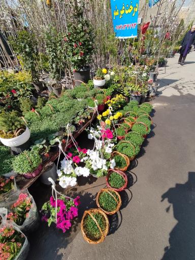 عکس نمایشگاه بهاره